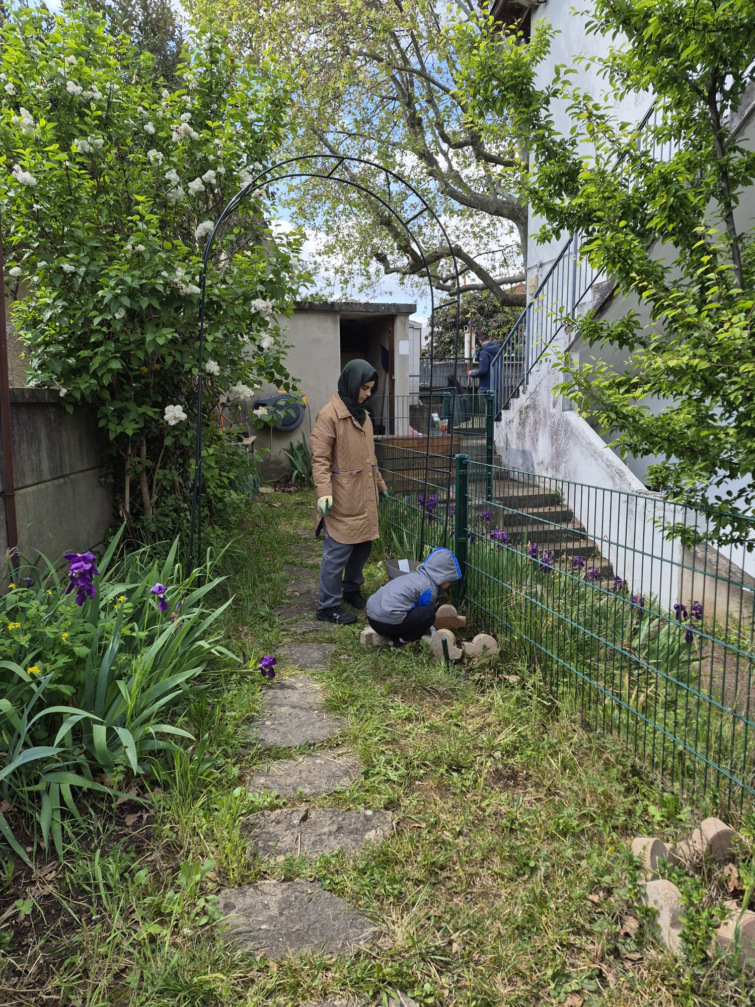Jardin